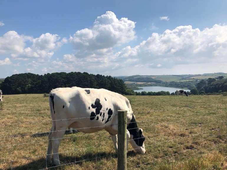 AB69C7EC-AD4D-4293-A328-8B9D02A94B26