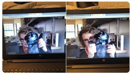 26216326-8135591-image-a-37_1584725153348